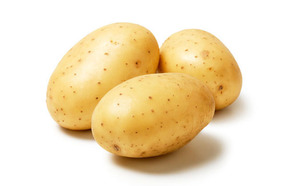 Противопоказания доберманам