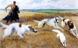 Борзая на охоте на зверя