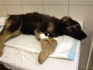 Меры предосторожности