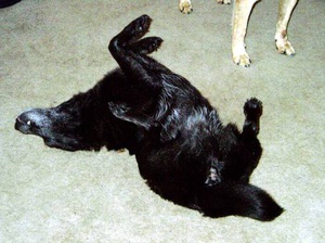 Тонические судороги-причины