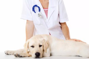 Лечение эпилепсии 