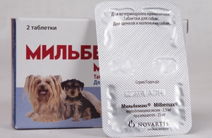 Питомцы 