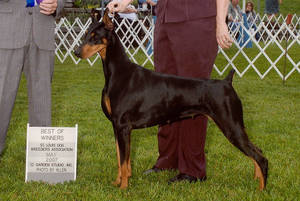 Характеристика породы