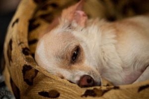 Как проводить профилактические меры