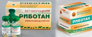 Показания к применению  Риботан для кошек и собак