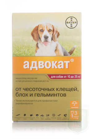 Когда применять капли адвокат