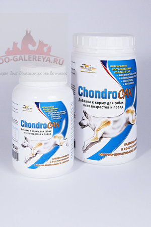 Какие есть хондропротекторы