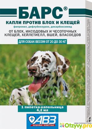 Показания к применению капель Барс 