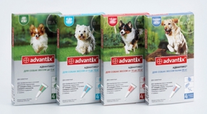 Средство Медифокс