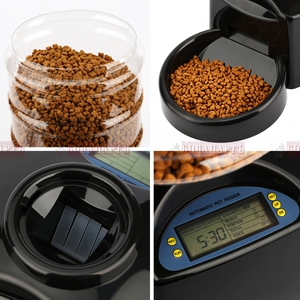 Автоматическая кормушка поможет занятым владельцам кошек и собак