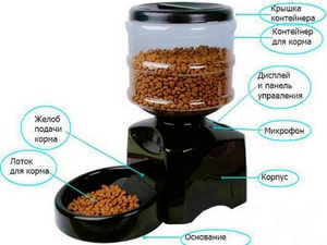 Автоматическая кормушка для кошек своими руками