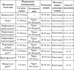 Схема введения 