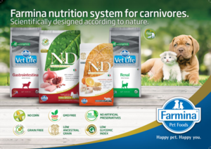 Как давать корм собакам