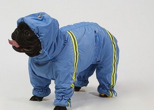 Комбинезон для собаки