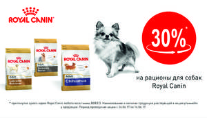 Корм для собак