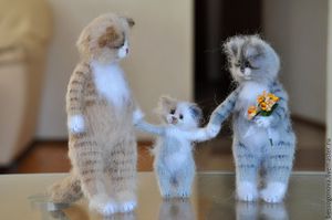 Вязка британской шиншиллы