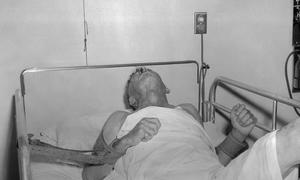 Болезни кошки