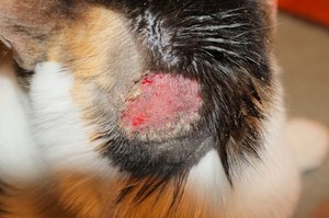 Признаки заболеваний