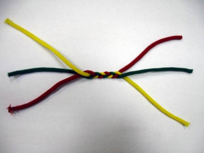 Схема косички для собак