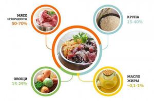 Рацион питания той терьера