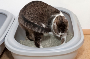 post