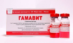 Как использовать препарат гамавит
