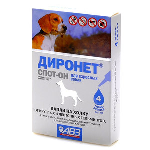 Лекарства от глистов