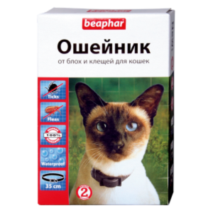 Выбор ошейников