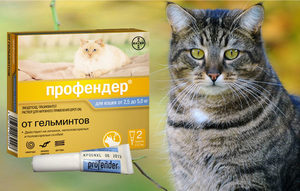 Нормы использования капель Профендер