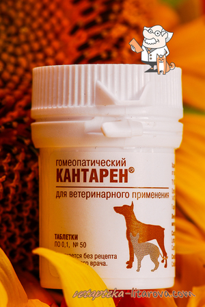 Таблетки кантарена