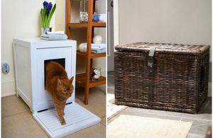 Места для кошачьего туалета