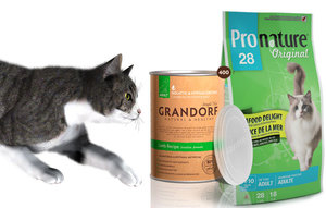 Какой корм выбрать для своей кошки