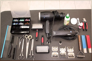 Какие инструменты нужны для стрижки кота