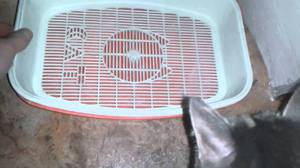 Лоток пластиковый с сеткой для кошек Лоток пластиковый с сеткой