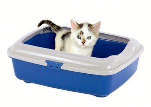 Кошачий лоток с высокими бортами Лоток с высокими бортами