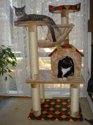 Вариант кошачьего домика