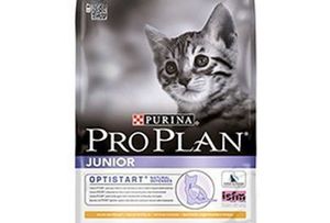 ПроПлан для котят