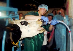 Причны развития заболевания