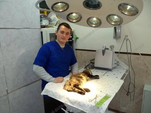 Реабилитация после операции