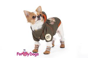 Обувь для маленьких собак: как выбрать и зачем она нужна