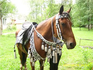 Упряжь конская
