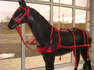 Сбруя для лошади