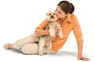 Уход за больной собакой