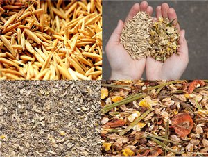 Какими кормами кормить лошадей