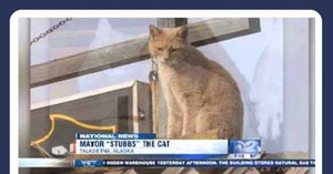 Мэр на Аляске