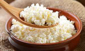 Творог для хомяков