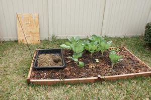 Хранение кроличьего навоза