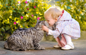 Выбор имени – ответственное решение, имя должно понравиться животному