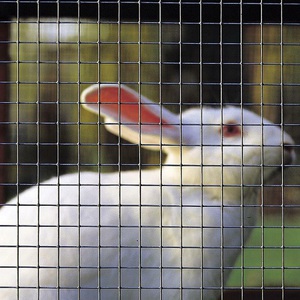 Сварная сетка - делаем клетки своими руками