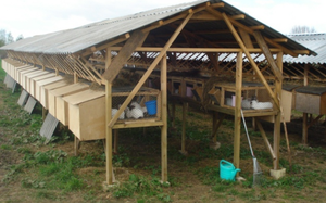 Ферма по разведению кроликов